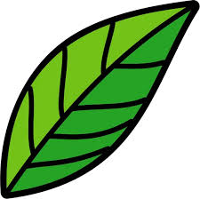Nature Leaf Icon Png And Svg Vector