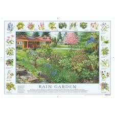 P 26 Rain Garden Poster Adopt A
