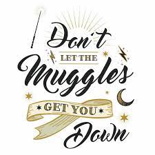 Harry Potter Muggles Quote 6 Piece L