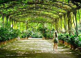 10 Beautiful Botanical Gardens In South