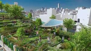 A Biotope Above Manhattan Ubm