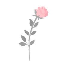 Pink Rose Flower Vector Art Icons And
