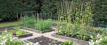 Vegetable Garden Layout 7 Tips For