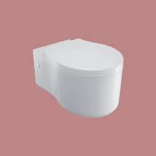 Kohler Presquile Wall Hung Toilet For
