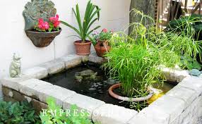 Small Pond Ideas For Patios Gardens