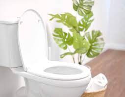 Round Or Elongated Toilet Seat For A