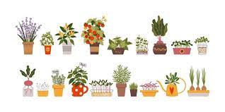 Herb Garden Vector Art Icons And
