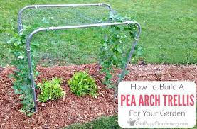 How To Build A Pea Trellis Arch Get