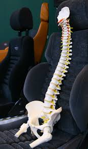 Back Pain When Driving Carrick