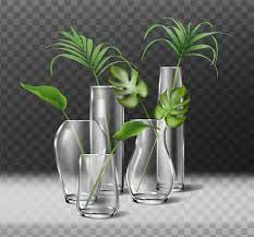 Transpa Vases With Plants