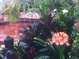 Tropical Garden Design And Construction