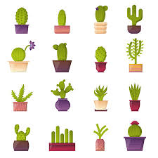 Cartoon Isolated Cactus Icon Vector