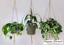 How To Make A Rope Plant Hanger