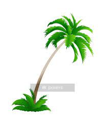 Wall Decal Vector Icon Palmtree