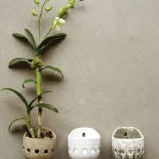 Distressed Orchid Wall Planter