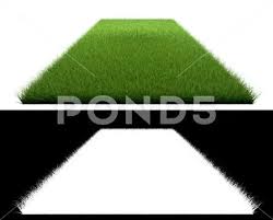 3d Rendering Of A Grass Patch Isolated
