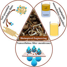 Cellulose A Review Of Water