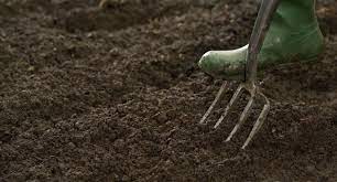 How To Prepare Your Soil For Planting