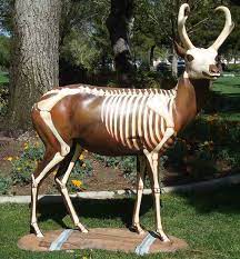 Paintable Antelope Statue Lancaster
