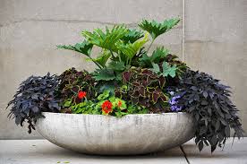 Quality Garden Pots Planters