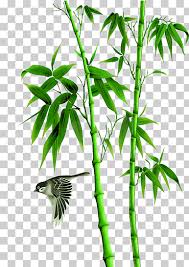 Bamboo Icon Png Images Klipartz