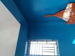 House Wall Painting Putty Design