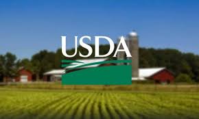Usda Construction Loans 101 Barndo Org