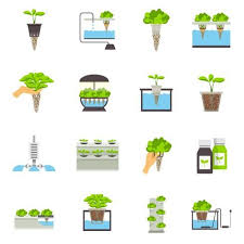 Hydroponic Flat Icons For Free