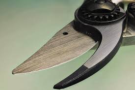 How To Sharpen Secateurs For Garden Use