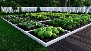 Tidy And Organized Vegetable Garden