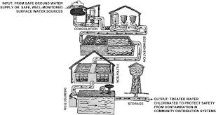 Sanitation An Overview