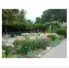 Residential Frontyard Garden Design