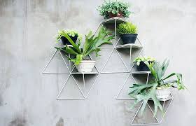 Best Wall Planters To Buy Now