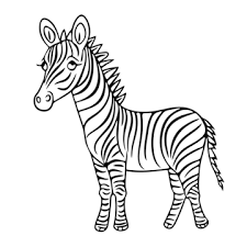 Zebra Outline Png Transpa Images