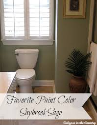 Paint Colors In My Home Calypso In