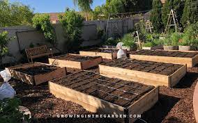 Raised Bed Garden Design Tips Growing