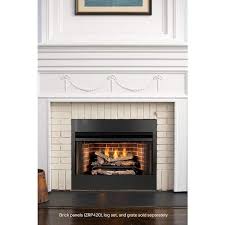 Ventless Dual Fuel Fireplace Insert