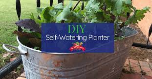 Self Watering Planters 20 Diy Ideas To