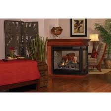 Direct Vent Peninsula Fireplace