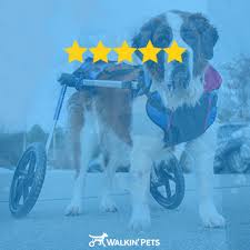 Dog Wheelchair Wheels For Dogs