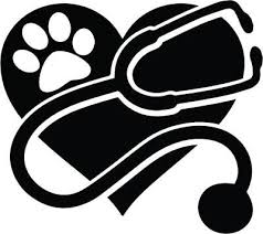 4 25 Vet Decal Rvt Veterinary Tech