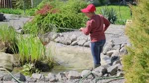 Fish Bucket Stock Footage Royalty