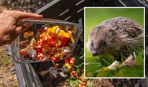 Start A Compost Heap Now To Provide