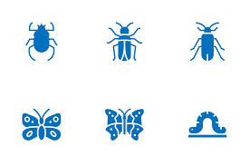 89 Entomology Icons Free In Svg Png