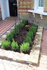 Evergreen Herbs To Edge Flower Borders