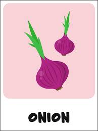 Premium Vector Onion Flashcard