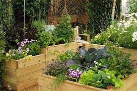 6 Small Garden Design Ideas Rhs Gardening