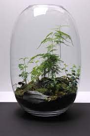 Make Your Miniature Garden In A Glass