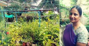 Want A Terrace Garden Let Chennai S