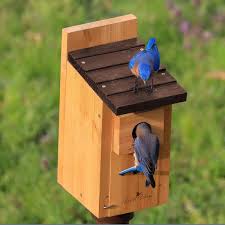 Wild Wings Cedar Bluebird Box House